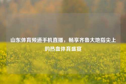 山东体育频道手机直播，畅享齐鲁大地指尖上的热血体育盛宴