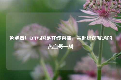 免费看!CCTV5国足在线直播,共赴绿茵赛场的热血每一刻