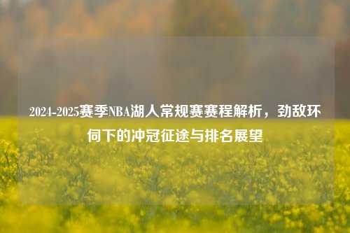 2024-2025赛季NBA湖人常规赛赛程解析，劲敌环伺下的冲冠征途与排名展望