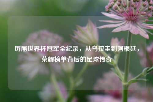 历届世界杯冠军全纪录，从乌拉圭到阿根廷，荣耀榜单背后的足球传奇