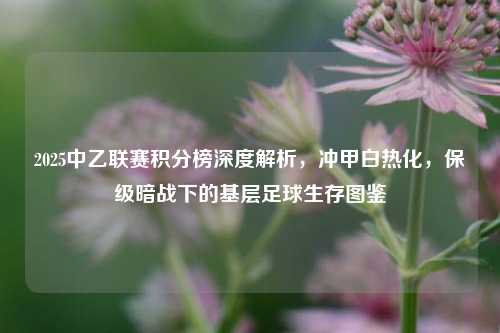 2025中乙联赛积分榜深度解析，冲甲白热化，保级暗战下的基层足球生存图鉴
