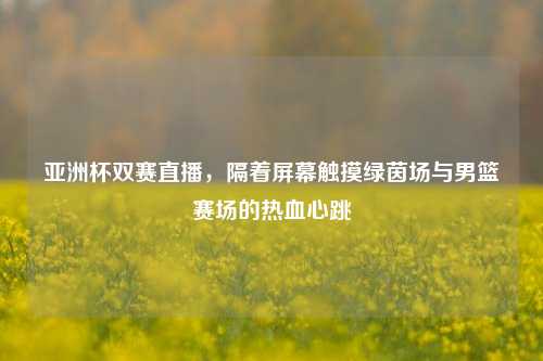 亚洲杯双赛直播，隔着屏幕触摸绿茵场与男篮赛场的热血心跳