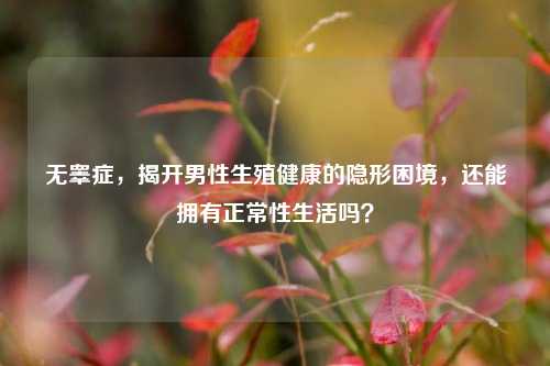 无睾症，揭开男性生殖健康的隐形困境，还能拥有正常性生活吗？