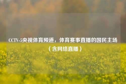 CCTV-5央视体育频道,体育赛事直播的国民主场(含网络直播)