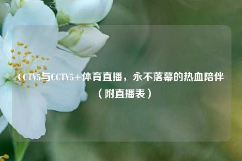 CCTV5与CCTV5+体育直播，永不落幕的热血陪伴（附直播表）
