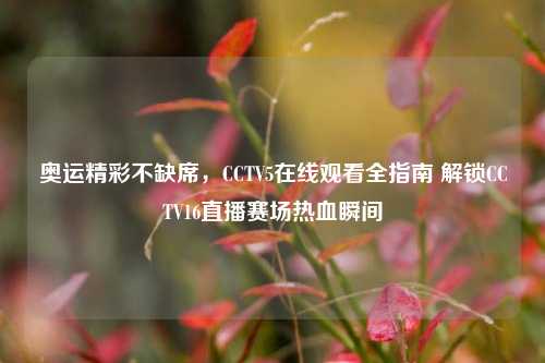 奥运精彩不缺席,CCTV5在线观看全指南 解锁CCTV16直播赛场热血瞬间