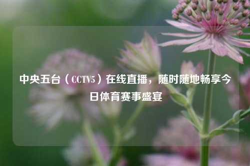 中央五台(CCTV5)在线直播,随时随地畅享今日体育赛事盛宴