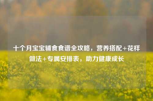 十个月宝宝辅食食谱全攻略，营养搭配+花样做法+专属安排表，助力健康成长