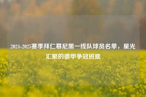 2024-2025赛季拜仁慕尼黑一线队球员名单，星光汇聚的德甲争冠班底