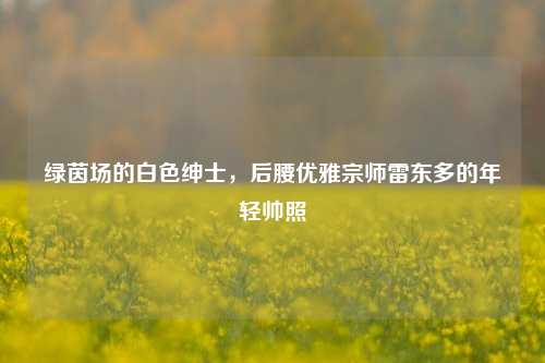 绿茵场的白色绅士，后腰优雅宗师雷东多的年轻帅照