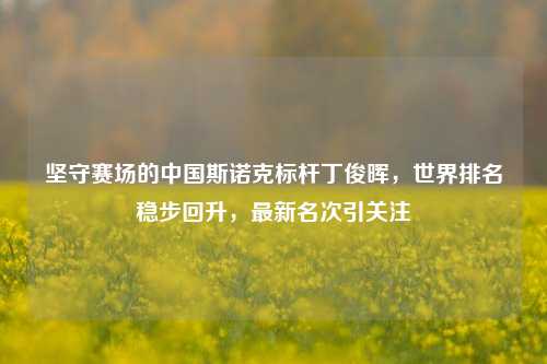 坚守赛场的中国斯诺克标杆丁俊晖，世界排名稳步回升，最新名次引关注