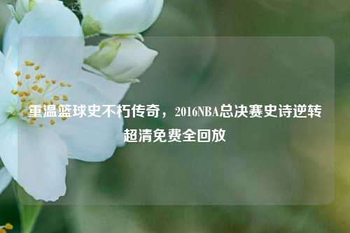 重温篮球史不朽传奇，2016NBA总决赛史诗逆转超清免费全回放