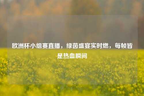 欧洲杯小组赛直播，绿茵盛宴实时燃，每帧皆是热血瞬间