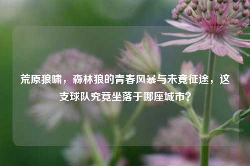 荒原狼啸，森林狼的青春风暴与未竟征途，这支球队究竟坐落于哪座城市？