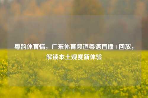 粤韵体育情，广东体育频道粤语直播+回放，解锁本土观赛新体验