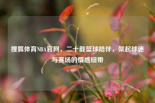 搜狐体育NBA官网，二十载篮球陪伴，架起球迷与赛场的情感纽带