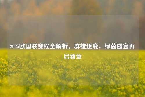 2025欧国联赛程全解析,群雄逐鹿,绿茵盛宴再启新章