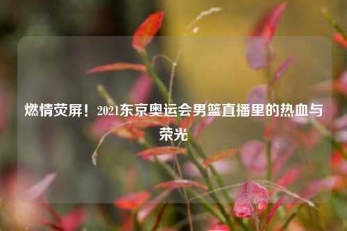 燃情荧屏!2021东京奥运会男篮直播里的热血与荣光