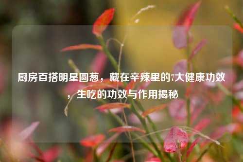 厨房百搭明星圆葱，藏在辛辣里的7大健康功效，生吃的功效与作用揭秘