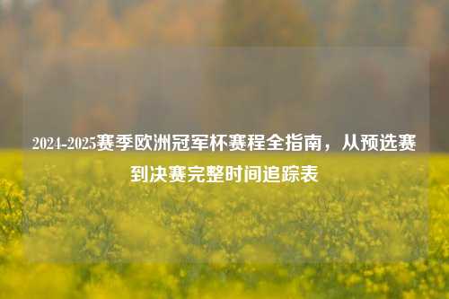 2024-2025赛季欧洲冠军杯赛程全指南，从预选赛到决赛完整时间追踪表