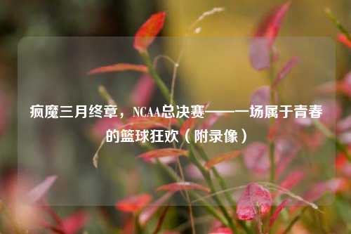 疯魔三月终章，NCAA总决赛——一场属于青春的篮球狂欢（附录像）