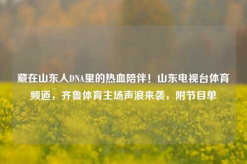 藏在山东人DNA里的热血陪伴！山东电视台体育频道，齐鲁体育主场声浪来袭，附节目单