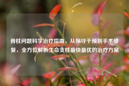脊柱问题科学治疗指南,从保守干预到手术修复,全方位解析生命支柱最快最优的治疗方案