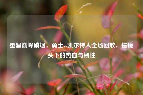 重温巅峰硝烟,勇士vs凯尔特人全场回放,慢镜头下的热血与韧性