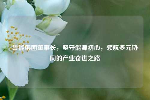 鲁能集团董事长，坚守能源初心，领航多元协同的产业奋进之路
