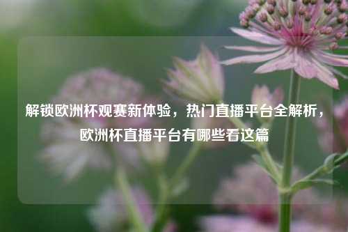 解锁欧洲杯观赛新体验，热门直播平台全解析，欧洲杯直播平台有哪些看这篇