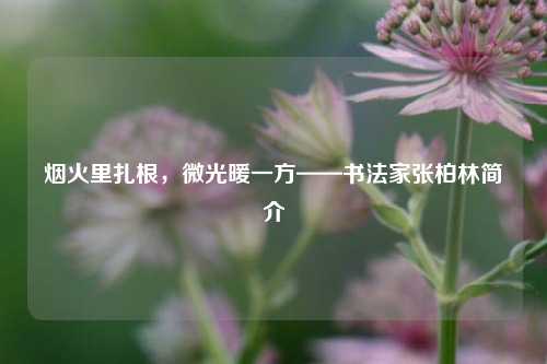 烟火里扎根，微光暖一方——书法家张柏林简介