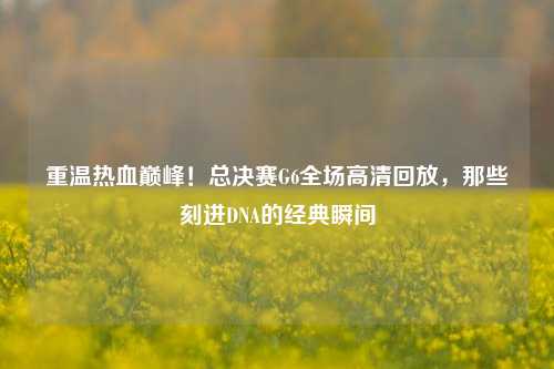 重温热血巅峰!总决赛G6全场高清回放,那些刻进DNA的经典瞬间