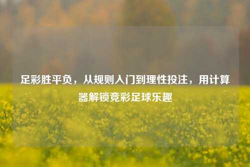 足彩胜平负，从规则入门到理性投注，用计算器解锁竞彩足球乐趣