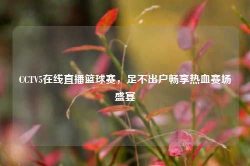 CCTV5在线直播篮球赛,足不出户畅享热血赛场盛宴