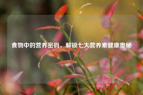 食物中的营养密码，解锁七大营养素健康奥秘