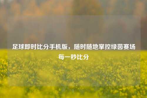 足球即时比分手机版,随时随地掌控绿茵赛场每一秒比分