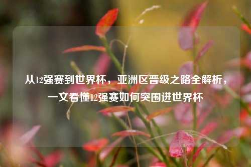 从12强赛到世界杯，亚洲区晋级之路全解析，一文看懂12强赛如何突围进世界杯
