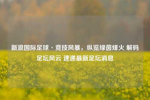 新浪国际足球·竞技风暴，纵览绿茵烽火 解码足坛风云 速递最新足坛消息