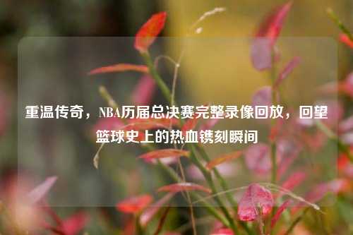 重温传奇,NBA历届总决赛完整录像回放,回望篮球史上的热血镌刻瞬间