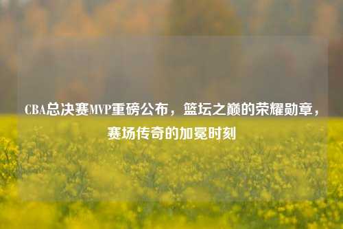 CBA总决赛MVP重磅公布，篮坛之巅的荣耀勋章，赛场传奇的加冕时刻