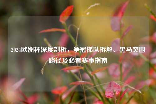2024欧洲杯深度剖析，争冠梯队拆解、黑马突围路径及必看赛事指南