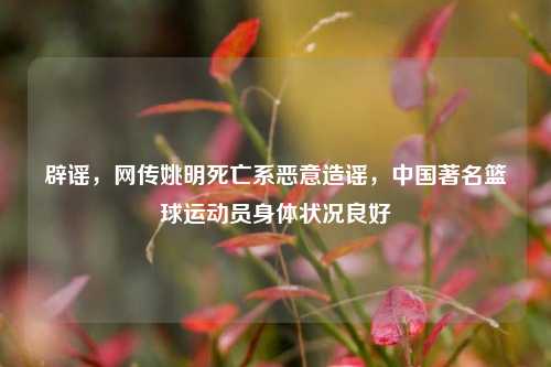 辟谣，网传姚明死亡系恶意造谣，中国著名篮球运动员身体状况良好