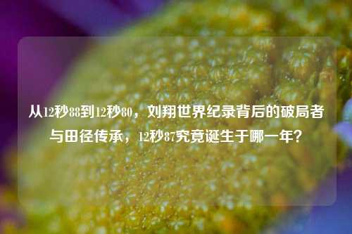 从12秒88到12秒80，刘翔世界纪录背后的破局者与田径传承，12秒87究竟诞生于哪一年？