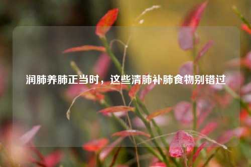 润肺养肺正当时，这些清肺补肺食物别错过
