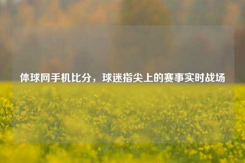 体球网手机比分，球迷指尖上的赛事实时战场