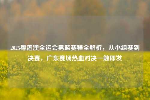 2025粤港澳全运会男篮赛程全解析,从小组赛到决赛,广东赛场热血对决一触即发