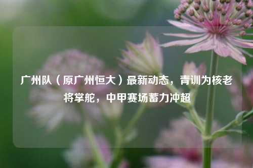 广州队（原广州恒大）最新动态，青训为核老将掌舵，中甲赛场蓄力冲超