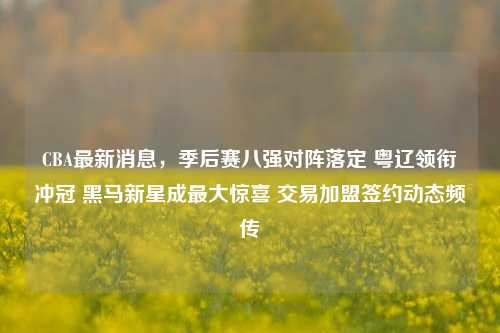 CBA最新消息，季后赛八强对阵落定 粤辽领衔冲冠 黑马新星成最大惊喜 交易加盟签约动态频传