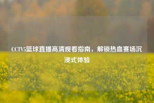 CCTV5篮球直播高清观看指南，解锁热血赛场沉浸式体验