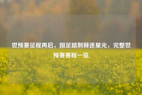 世预赛征程再启，国足踏荆棘逐星光，完整世预赛赛程一览